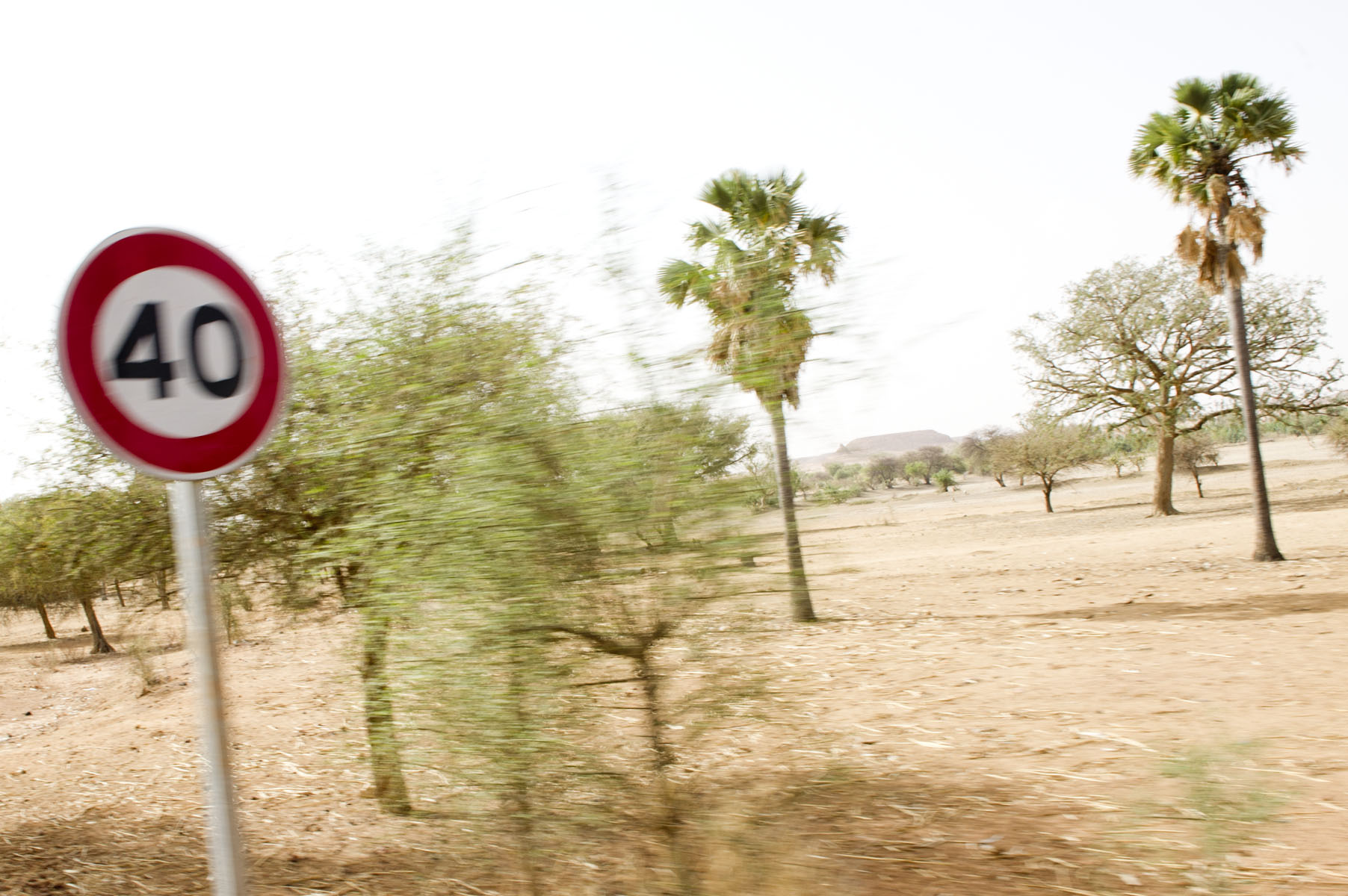 Forty-Niger
