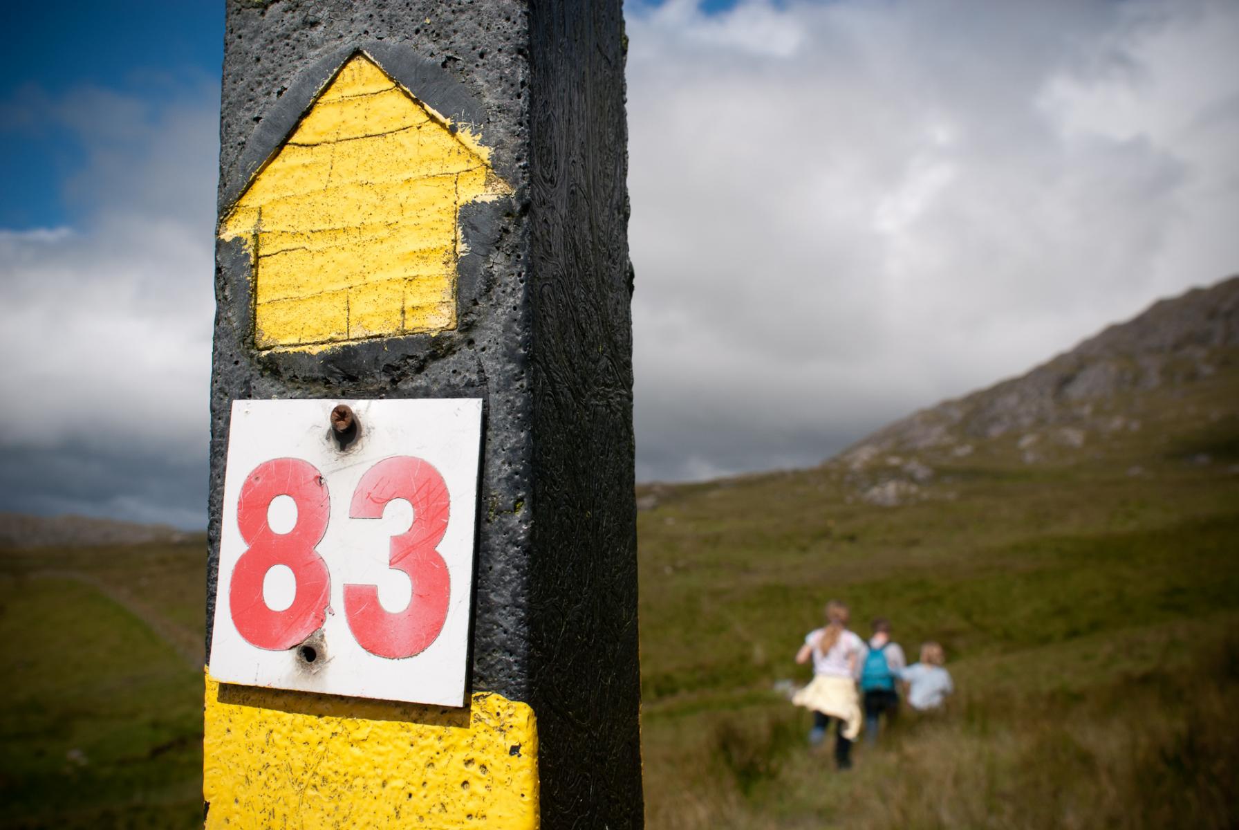 Eighty Three-Beara